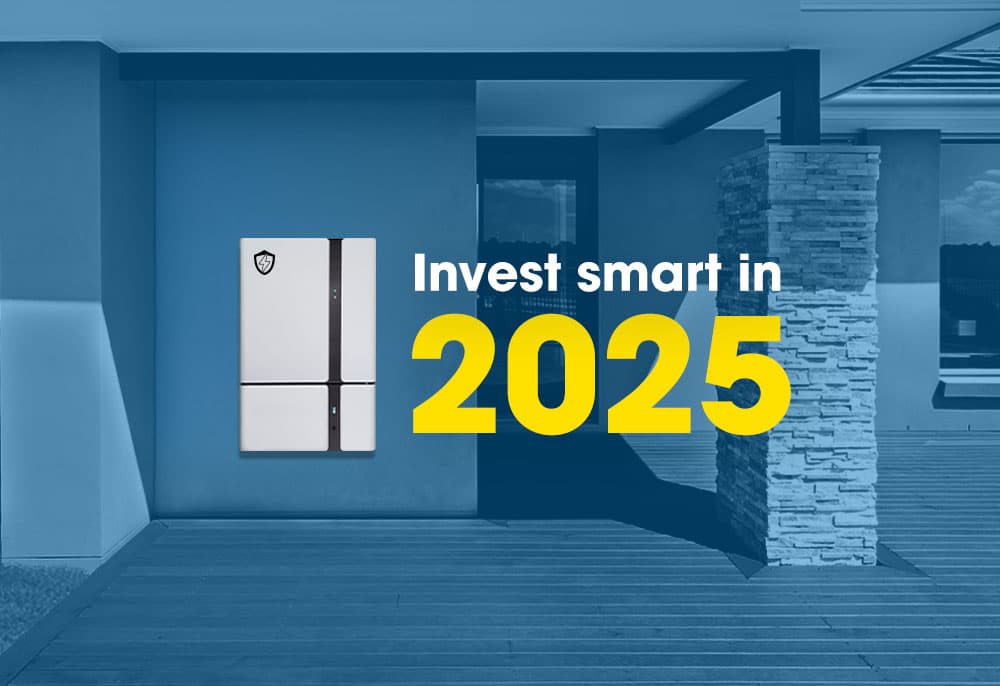 Why 2025 is the Year to Invest in Solar Battery Storage