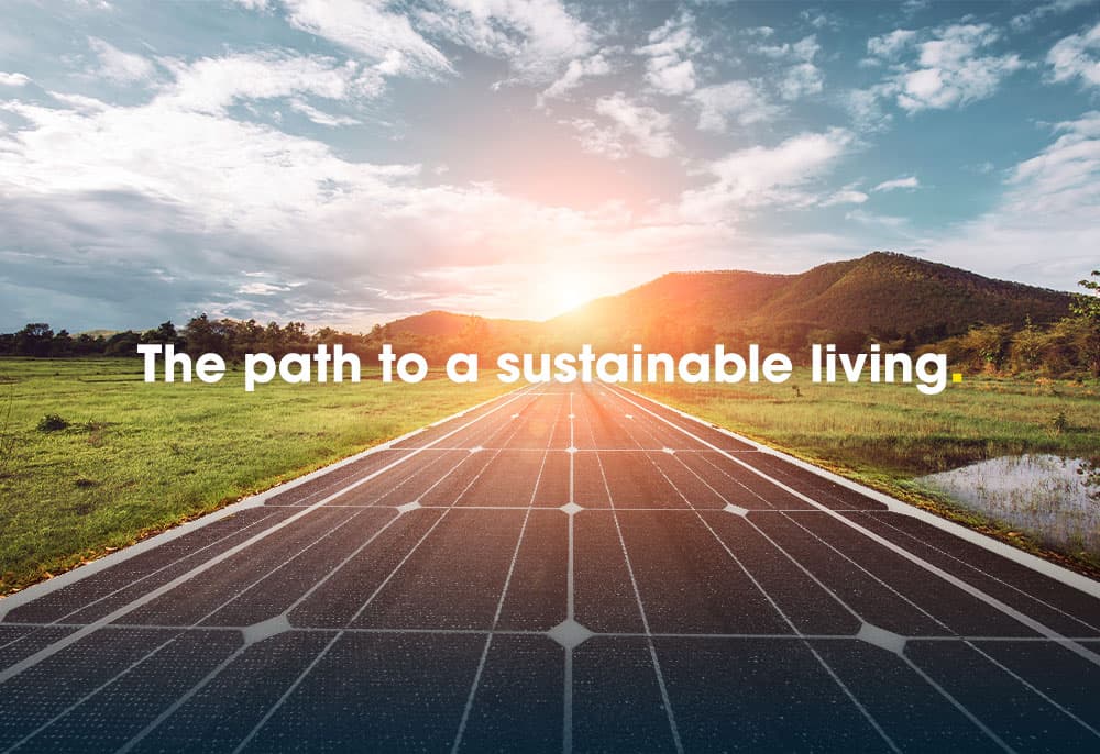 The Future of Energy: Solar Battery Subsidies and Sustainable Living
