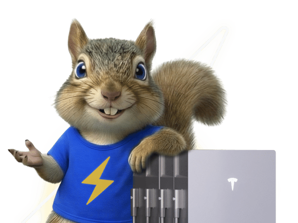 Solar Battery Group mascot