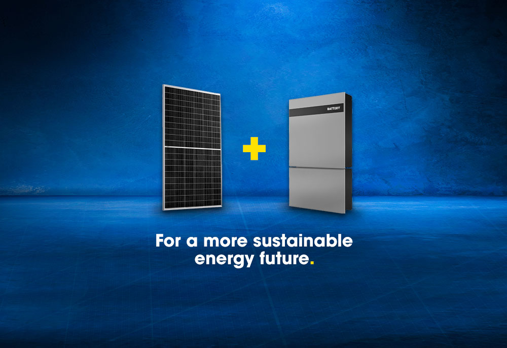 From Solar Panels to Battery Storage: Building a Renewable Energy Ecosystem